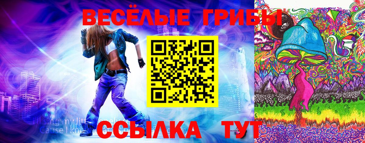 Галлюциногенные грибы Cubensis  Галлюциногенные грибы мицелий  Вход с VPN  Морозовск 
